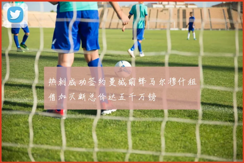 热刺成功签约曼城前锋马尔穆什租借加买断总价达五千万镑