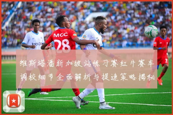 维斯塔潘新加坡站练习赛红牛赛车调校细节全面解析与提速策略揭秘