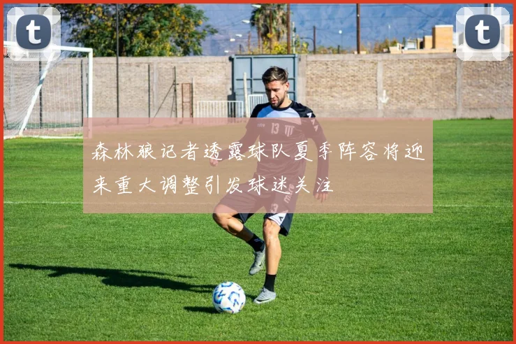 森林狼记者透露球队夏季阵容将迎来重大调整引发球迷关注