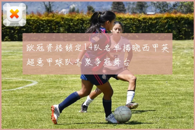 欧冠资格锁定14队名单揭晓西甲英超意甲球队齐聚争冠舞台